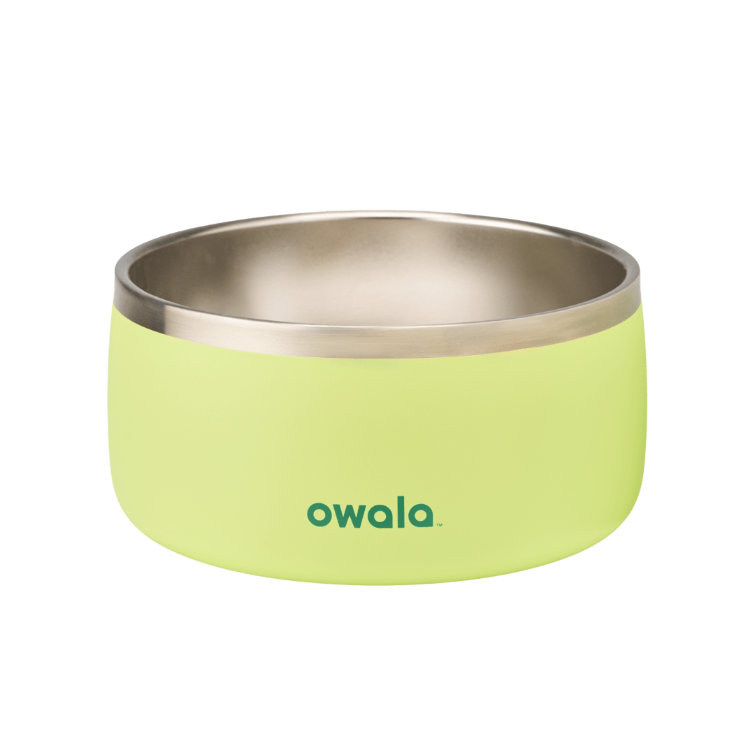 Pet Bowl | Studio Pick