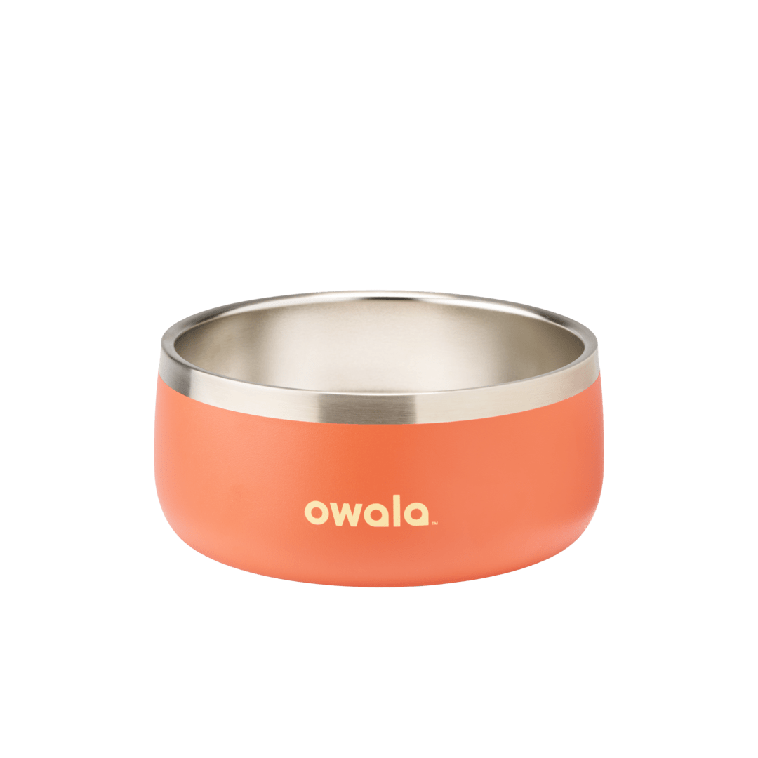 Pet Bowl | Studio Pick