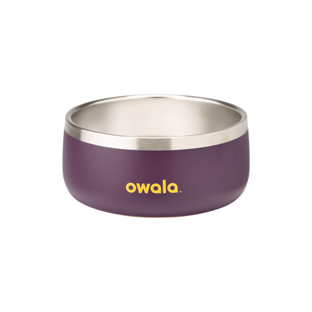Pet Bowl | Studio Pick