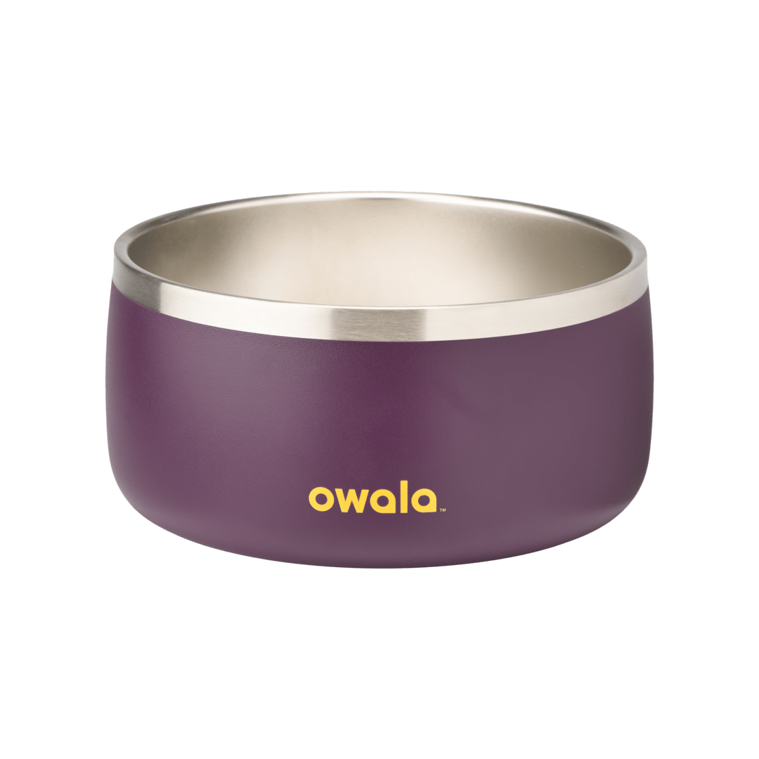 Pet Bowl | Studio Pick