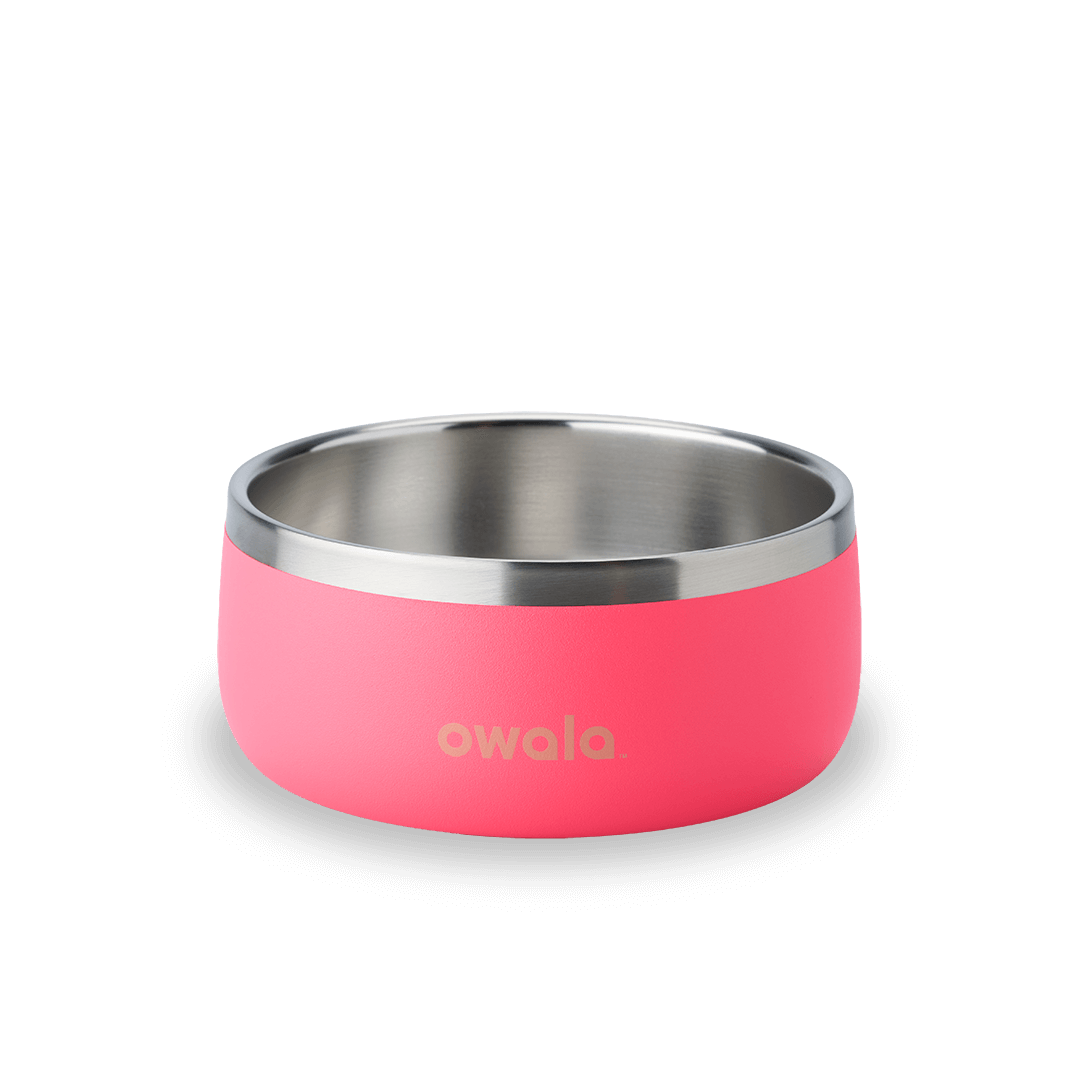 Pet Bowl | Studio Pick