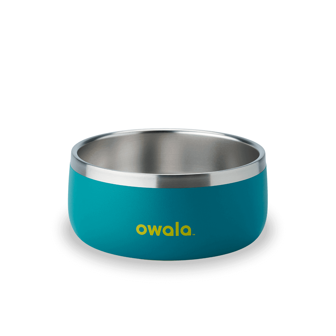 Pet Bowl | Studio Pick
