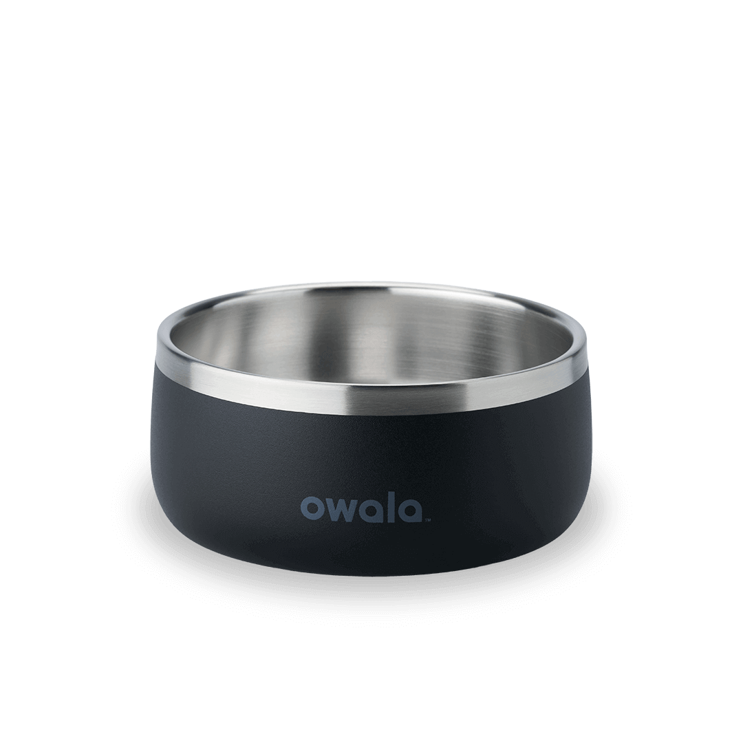 Pet Bowl | Studio Pick