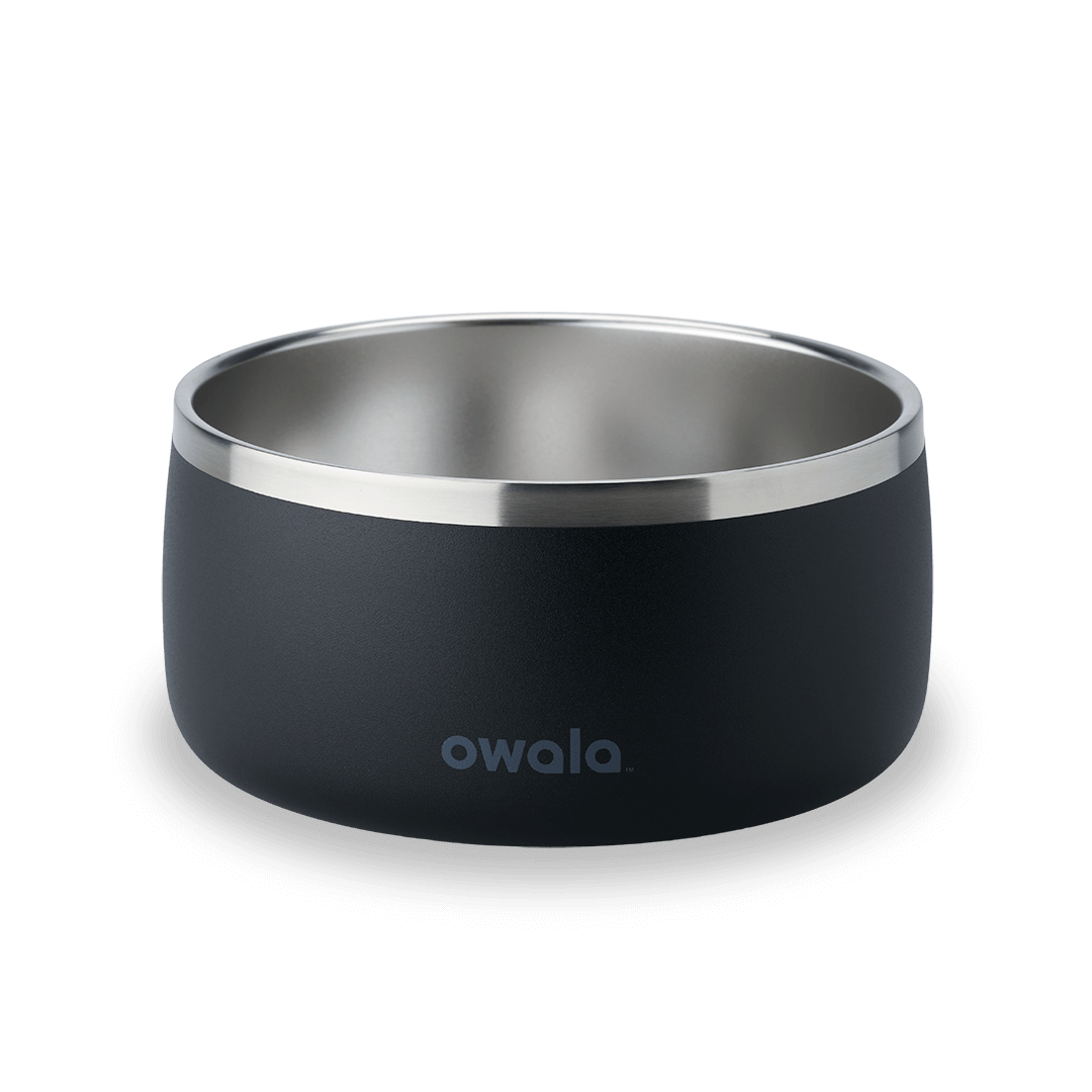 Pet Bowl | Studio Pick